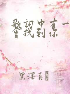 歌词中有一句我会找到你
