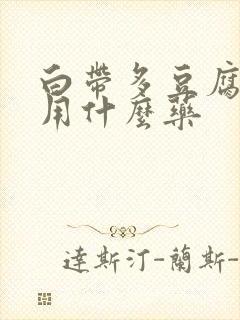 白带多豆腐渣状用什么药