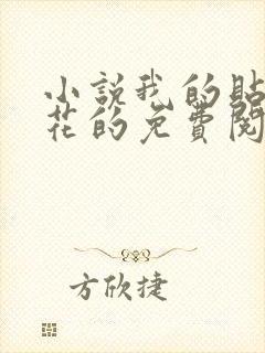 小说我的贴身校花的免费阅读