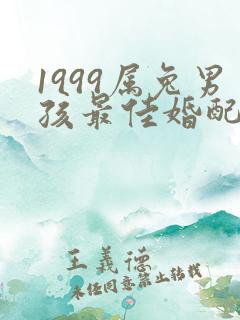 1999属兔男孩最佳婚配属相