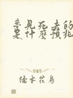 梦见死去的亲人是什么预兆周公解梦女人