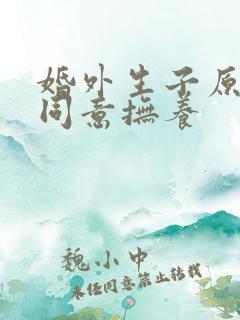 婚外生子原配不同意抚养