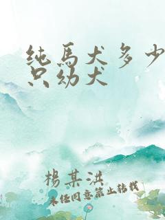 纯马犬多少钱一只幼犬