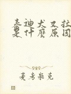 泰迪犬又拉又吐是什么原因