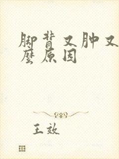 脚背又肿又痛什么原因