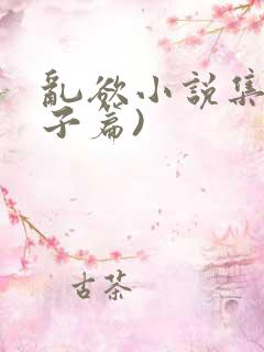 乱欲小说集(母子篇)