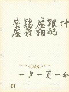 摩羯座跟什么星座最相配