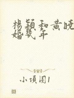 杨颖和黄晓明结婚几年