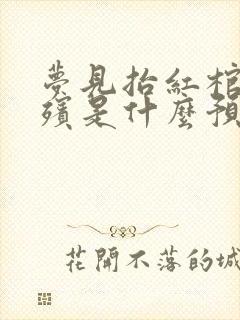 梦见抬红棺材出殡是什么预兆解梦