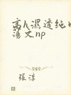 高h湿透纯肉放荡文np