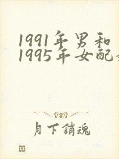 1991年男和1995年女配婚怎么样