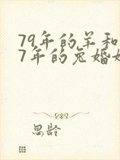 79年的羊和87年的兔婚姻怎么样