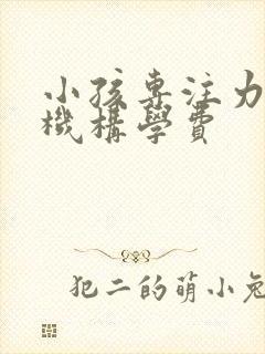 小孩专注力训练机构学费