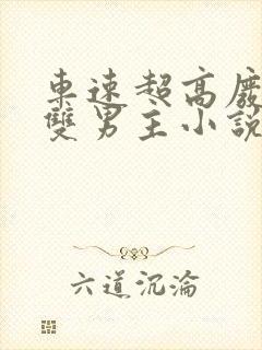 车速超高废文的双男主小说推荐免费