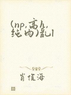 (np,高h,纯肉)乱l