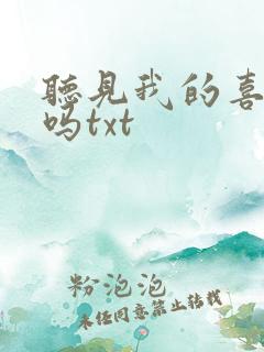 听见我的喜欢了吗txt