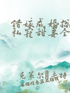 错嫁成婚总裁的私宠甜妻全集