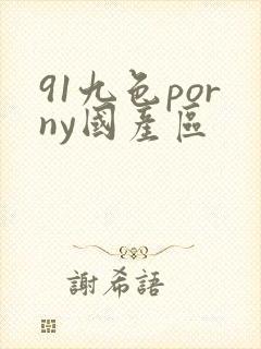 91九色porny国产区