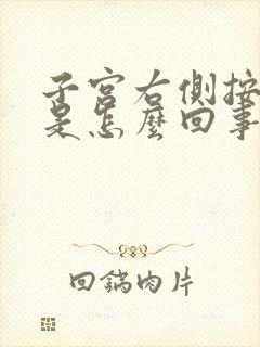 子宫右侧按压疼是怎么回事