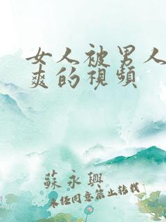 女人被男人插到爽的视频