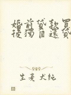 婚前贷款买房婚后独自还贷