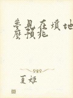 梦见在坟地是什么预兆