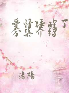 爱情睡醒了剧情分集介绍