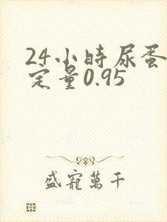 24小时尿蛋白定量0.95