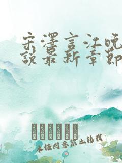 宋泽言江晚吟小说最新章节更新内容