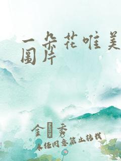 一朵花唯美意境图片