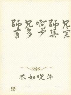 师兄啊师兄一共有多少集完结