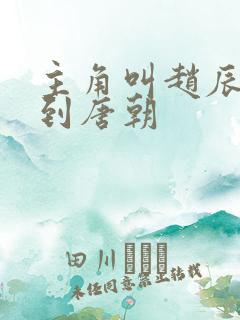 主角叫赵辰穿越到唐朝