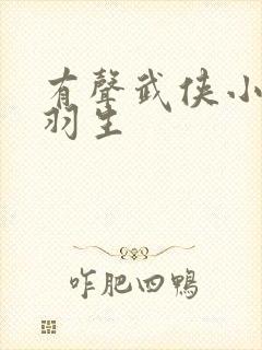 有声武侠小说梁羽生