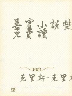 嘉宾小说双女主免费读