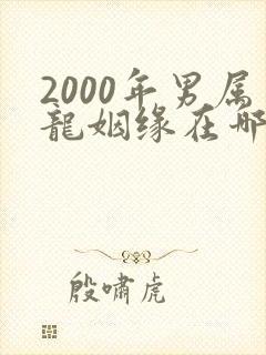 2000年男属龙姻缘在哪年最旺盛