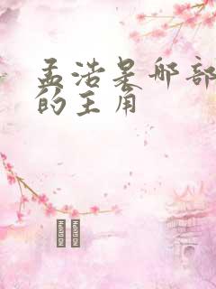 孟浩是哪部小说的主角