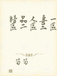 精品人妻一91区二区三区久久嗨