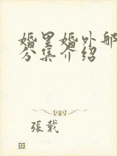 婚里婚外那些事分集介绍