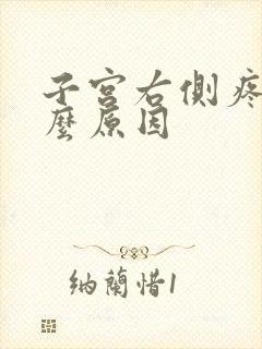 子宫右侧疼痛什么原因