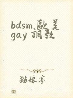 bdsm 欧美gay 调教