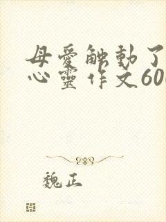 母爱触动了我的心灵作文600