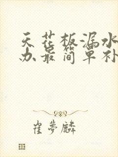 天花板漏水怎么办最简单补救办法