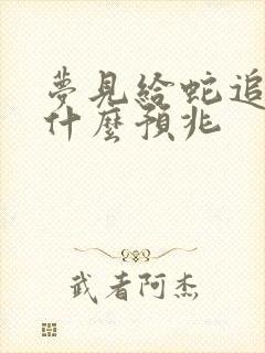 梦见给蛇追着跑什么预兆