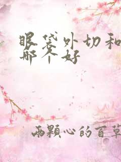 眼袋外切和内切哪个好