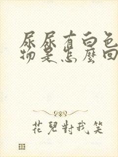 尿尿有白色分泌物是怎么回事