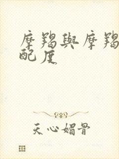 摩羯与摩羯的匹配度