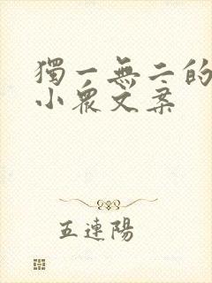 独一无二的高级小众文案