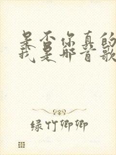 是否你真的离开我是哪首歌的歌词