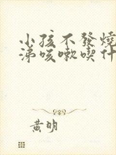 小孩不发烧流鼻涕咳嗽吃什么药