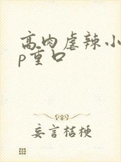 高肉虐辣小说np重口